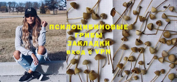 герыч Алексин